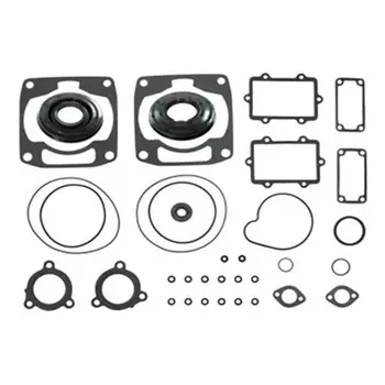 Комплект прокладок с сальниками, Arctic Cat, OEM 3005-880, 3005-951, 3004-081, 3005-854