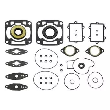 Комплект прокладок с сальниками, Arctic Cat, OEM 3006-423, 3003-503, 3003-226, 3003-224