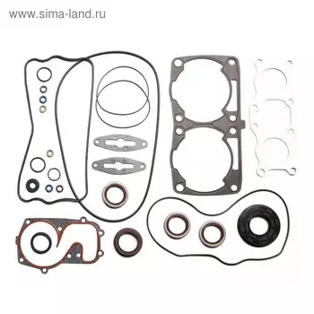 Комплект прокладок с сальниками, Polaris, OEM 5413230, 5411411, 5413288, 5413319, 5813826