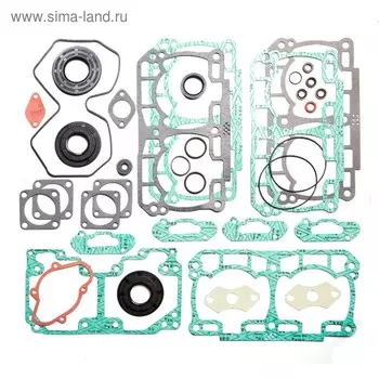 Комплект прокладок с сальниками, Ski-doo, OEM 420893500