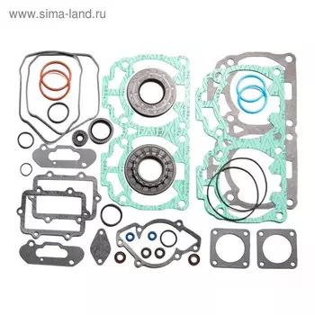 Комплект прокладок с сальниками, Ski-doo, OEM 420931285, 420931792, 420931893, 420431161