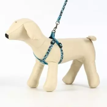 Комплект прошитый «Милитари», ширина 1 см, поводок 120 см, шлейка 23-35 см, синий