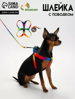 Комплект «Радуга», капрон, поводок 1201.5 см, ОГ 24-34 см, разноцветный