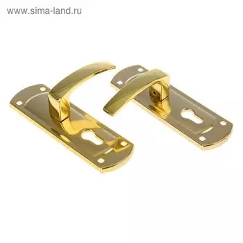 Комплект ручек "АЛЛЮР" РН-01/55AZ GP, 55 мм, цвет латунь