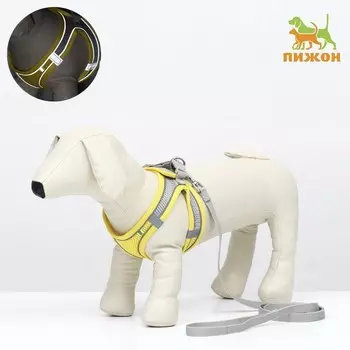 Комплект с мягкой шлейкой, быстросъемный, M, поводок 1501.5 см, ОШ 38-44 см, ОГ 44-50 см, жёлтый