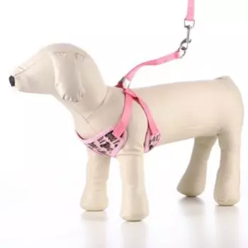 Комплект с мягкой шлейкой "Дэймон", размер М, поводок 120 х 1,2 см, розовый