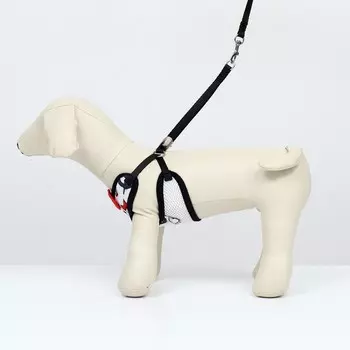 Комплект с мягкой шлейкой и бантиком "Морской", размер S, поводок 120 x 1,5 см, ОГ 23-42 см