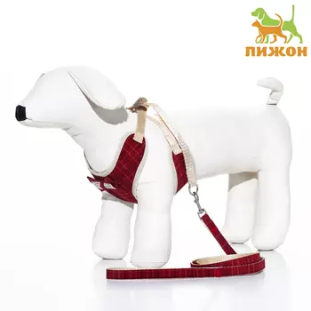 Комплект с мягкой шлейкой «Клетки», размер S, поводок, 1201.5 см, ОГ 28-62 см, красный