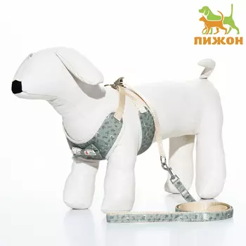 Комплект с мягкой шлейкой «Веточки», размер L, поводок 1201.5 см, ОГ 42-76 см, серый