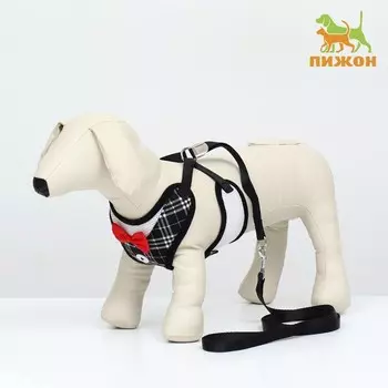 Комплект с мягкой шлейкойи бантиком «Клетка», L, поводок 1201.5 см, ОГ 35-50 см, чёрный