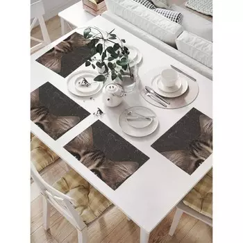 Комплект салфеток для сервировки стола «Любопытный котик», прямоугольные, размер 32х46 см, 4 шт