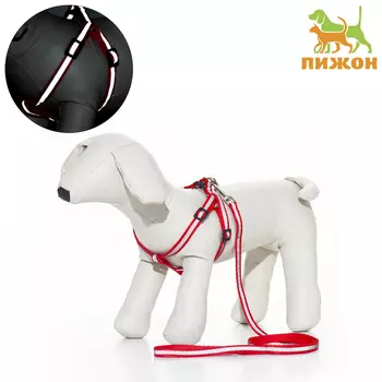 Комплект со светоотражающей лентой, ошейник 1201 см, ОГ 26-40 см, красный