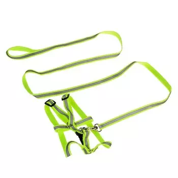 Комплект со светоотражающей лентой, ошейник 1201 см, ОГ 26-40 см, зеленый