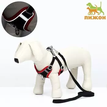 Комплект Sport+, L, поводок 1201.5 см, ОШ 49-56 см, ОГ 56-68 см, вес животного 20-28 кг, чёрный