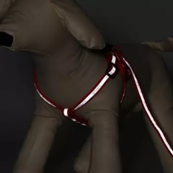 Комплект «Спорт» светоотражающий, поводок 1201 см, ОГ 23-35 см, красный