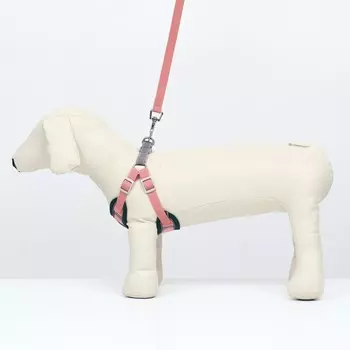 Комплект Sport+, XS, поводок 1201.5 см, ОШ 37-39 см, ОГ 41-46 см, вес животного 4-6 кг, розовый