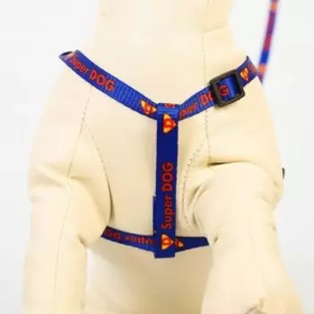 Комплект Super Dog, шлейка 26-39 см, поводок 120х1 см