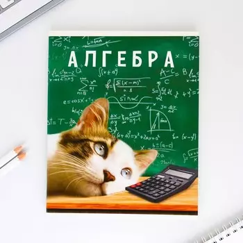 Набор тетрадей 48 листов, 10 предметов со справочным материалом «1 сентября: Милые питомцы», обложка мелованный картон 230 гр., внутренний блок в клетку/линейку, белизна 96 %.