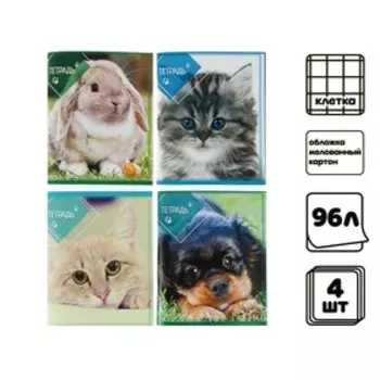 Комплект тетрадей из 4 штук, 96 листов в клетку Calligrata "Домашние животные 2", обложка мелованный картон, блок офсет