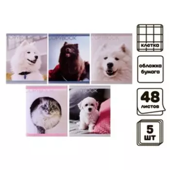 Набор тетрадей, 48 листов в клетку, Calligrata «Любимые питомцы», серые листы, 5 штук
