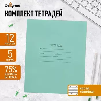 Набор тетрадей, 12 листов в косую линейку, КПК «Зелёная обложка», серые листы, 5 штук