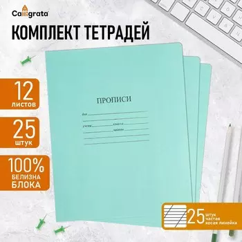 Комплект тетрадей (прописи) из 25 штук, 12 листов в частую косую линию КФОБ "Зелёная обложка", 60 г/м2, блок офсет, белизна 100%