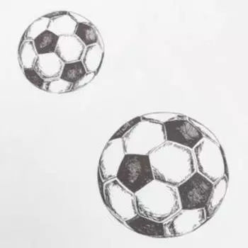 Комплект тюлей "Этель" Goal, 145*260 см-2 шт, 100% п/э