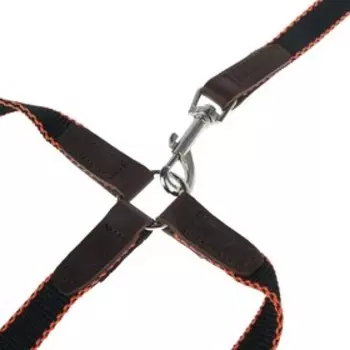 Комплект «Зооник»: поводок 1.5 м с тройной своркой, капроновая лента, 20 мм, микс