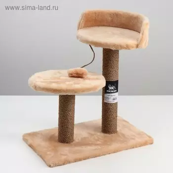 Комплекс с двумя овальными полками и бортиком, микс 30 х 50 х 55 см