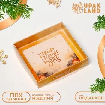 Коробка новогодняя с PVC крышкой, «Мир полон Чудес», 16163 см