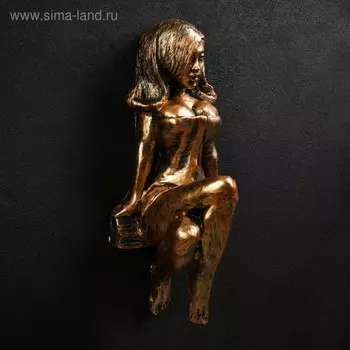 Вешалка настенная «Девушка», панно, 321513 см