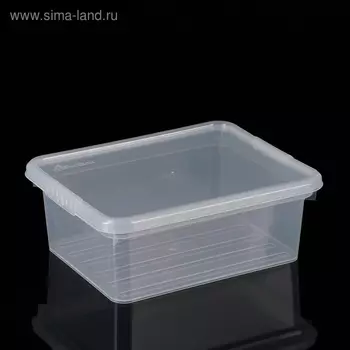 Контейнер для хранения с крышкой Basic, 3 л, 25×20×9 см, цвет прозрачный