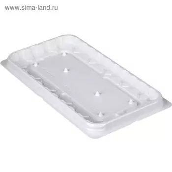 Контейнер для торта Т-2512ДШ, прямоугольный, цвет белый, размер 28 х 25 х 1,9 см