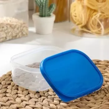 Контейнер Доляна, пищевой, 500 мл, цвет синий