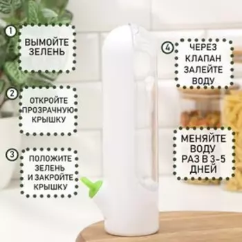 Контейнер для хранения зелени Доляна Fresh, пластик, 500 мл, белый