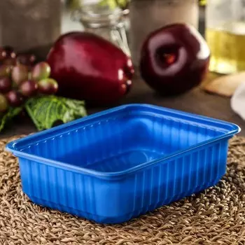 Контейнер одноразовый «Южуралпак», КР-179, 750 гр, 17,913,25 см, цвет синий