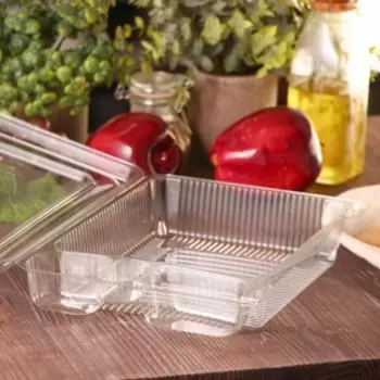 Контейнер одноразовый с неразъёмной крышкой ПР-К-25С4, 26,519,36,8 см, цвет прозрачный