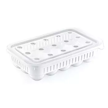 Контейнер-органайзер для хранения 15 яиц HobbyLife, с закрывающейся на замок крышкой