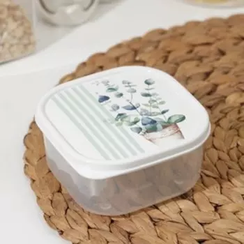 Контейнер пищевой Доляна «Эвкалипт», 400 мл, цвет белый