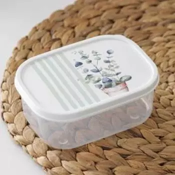 Контейнер пищевой Доляна «Эвкалипт», 500 мл, прямоугольный, цвет белый