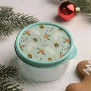 Контейнер пищевой Доляна «Шишки», 150 мл, круглый, цвет бирюзовый