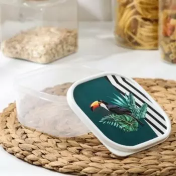 Контейнер пищевой Доляна «Тропики», 700 мл, квадратный