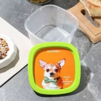 Контейнер прямоугольный пластиковый 0,5 л "Бесишь"