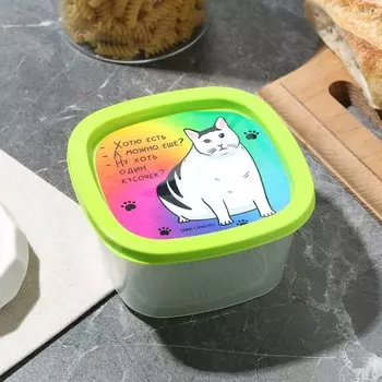 Контейнер прямоугольный пластиковый 0,5 л "Котик"