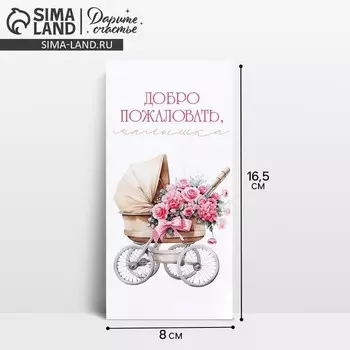 Конверт для денег «Добро пожаловать, малышка», 16.58 см