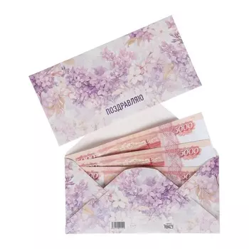 Конверт для денег «Поздравляю!», 816 см