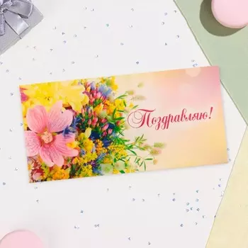 Конверт для денег «Поздравляю!», 16.58 см