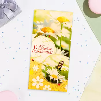 Конверт для денег «С Днём Рождения!», 168 см