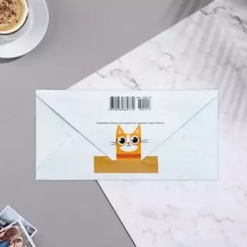 Конверт для денег «С Новосельем!» 168 см