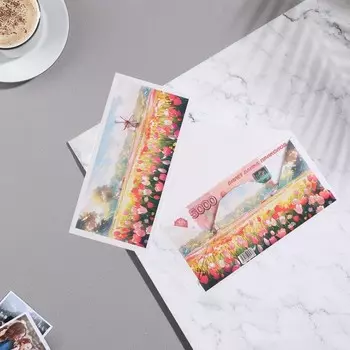 Конверт для денег "Универсальный" поле тюльпанов, 8х16,3 см